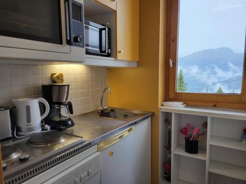 une cuisine avec un évier et un micro-ondes dans l'établissement Appartement cosy près des pistes avec balcon et TV - FR-1-181-2832, à La Plagne Tarentaise