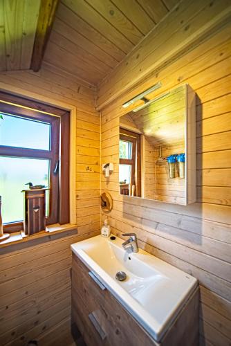 a bathroom with a sink and a mirror and a window at Wapienne domek in Sękowa