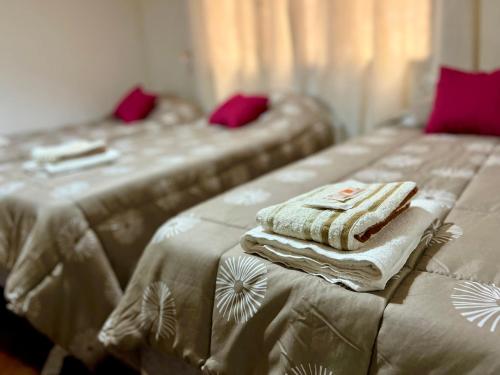 Ένα ή περισσότερα κρεβάτια σε δωμάτιο στο Hermoso departamento en la Peatonal de Mendoza