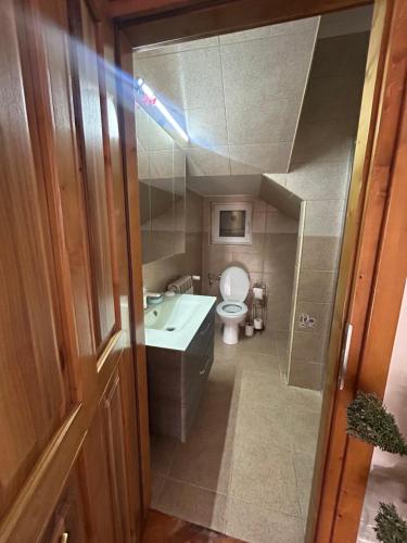 a bathroom with a toilet and a sink and a mirror at Transilvania Guesthouse in Miercurea Sibiului