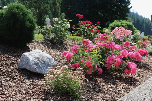 a garden with pink flowers and a rock at Zur Alpenruhe in Seeboden