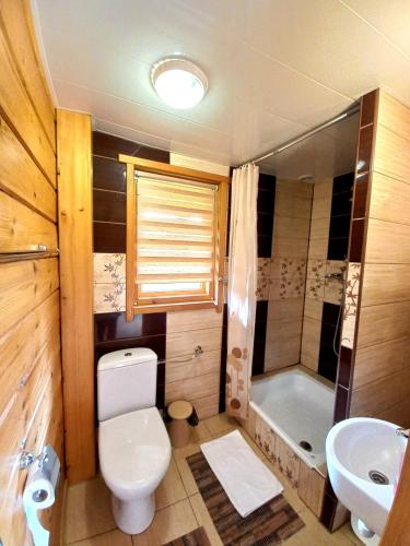 a bathroom with a toilet and a sink and a tub at Bieszczady Domek Letniskowy in Polańczyk
