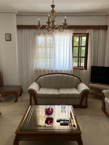 a living room with a couch and a coffee table at Maria's apartment in Káto Tithoréa