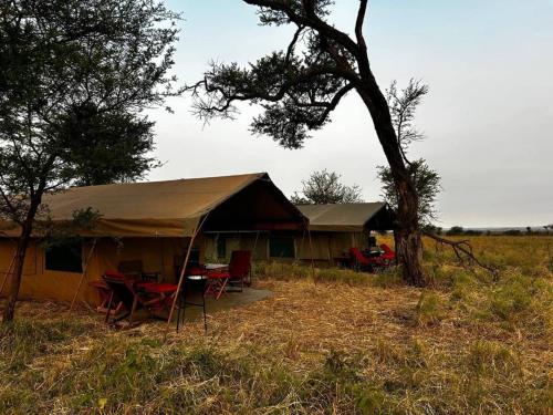 a tent with chairs and a table in a field at Sadanga & Sons Mobile Camp Safaris in Mugumu