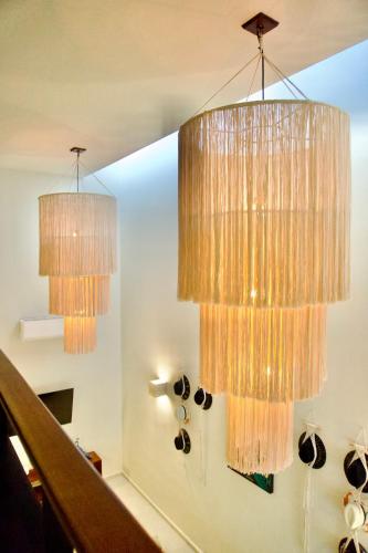 Gallery image of Casa pavo real 350 MBS in Mérida