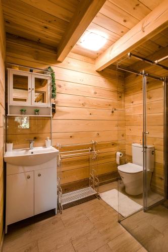 a bathroom with a toilet and a sink at Leśny domek in Białowieża