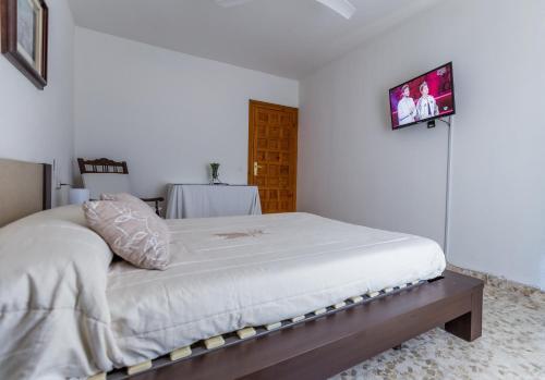 a bedroom with a large bed with a tv on the wall at Balcón de la tejera in Cazorla