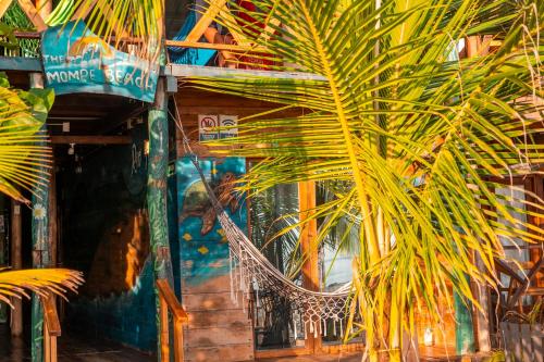 Gallery image of the mompe beach hostal in La Poza