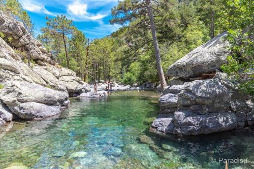 Φωτογραφία από το άλμπουμ του Bas de villa avec piscine σε Moltifao