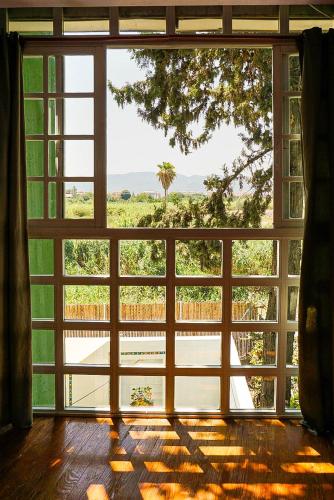 a large window with a view of a tree at La Casa Verde in Murcia