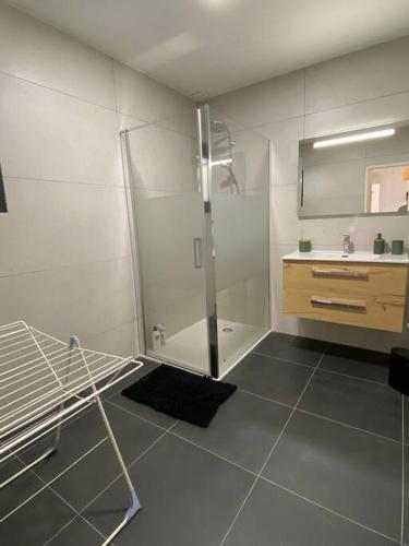 une salle de bain avec douche et lavabo dans l'établissement Les Rochers du lac, à Cessenaz