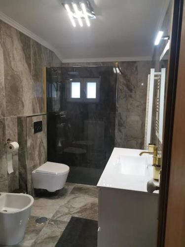 a bathroom with a sink and a toilet and a shower at Casa Das Origens, vue sur la vallée du Douro in Mesão Frio
