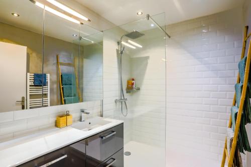 une salle de bain avec un lavabo et une douche en verre dans l'établissement Lyon Premium - Aux Berges du Rhône, à Lyon