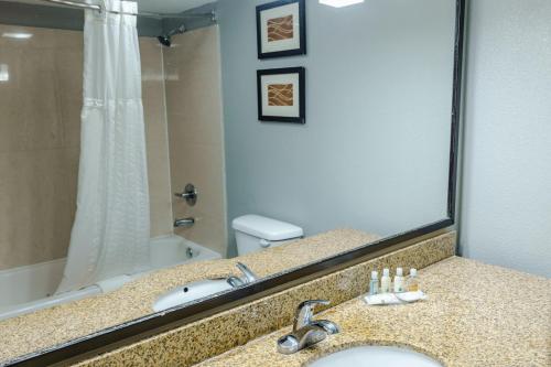 a bathroom with a sink and a mirror at Quality Inn Olive Branch in Olive Branch