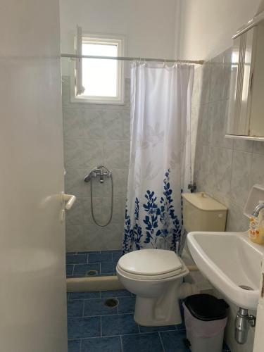 a bathroom with a toilet and a sink and a shower at Lofos Studios in Agios Prokopios