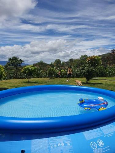a blue pool of water with a dog in a field at Beautiful Country House in Loja