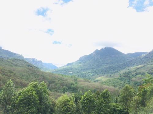 a view of a valley with trees and mountains at Bracedale Estate in Kegalle