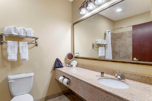 a bathroom with a sink and a toilet and a mirror at Best Western Plus Crown Colony Inn & Suites in Lufkin