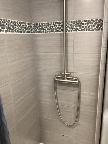 a shower with a shower head in a bathroom at AUBERGE DE LA VOUTE in Chooz
