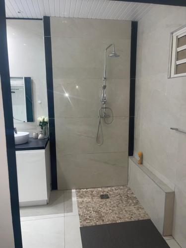 a shower stall in a bathroom with a sink at La Villa Néoma in Saint-Pierre