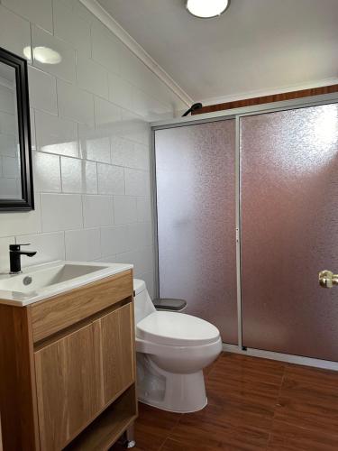 un bagno con wc, doccia e lavandino di Cabañas Aires de Huerquehue a Panguipulli