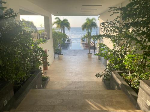 Κήπος έξω από το Apartamento en Punta Caelo