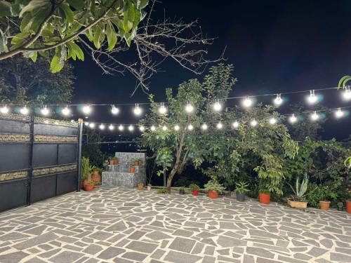 a patio with a string of lights and plants at Old district in Kutaisi