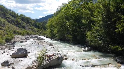 a river in the middle of a valley with trees at Maison bord de rivière in Roquestéron