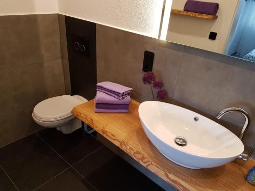 a bathroom with a sink and a toilet at Ferienwohnung Reichelt in Olbernhau