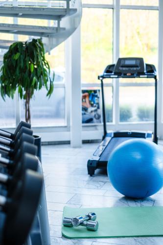 a gym with a treadmill and a blue ball and scissors at Hotel des Nordens Flensburg Wellness & Spa in Flensburg