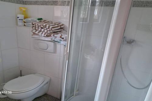 een witte badkamer met toilet en douche bij PrettyCentral1roomappartement in Eschborn