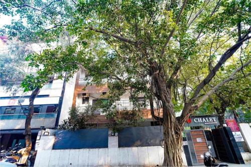 a tree in front of a building on a street at Hotel Kular at Saket Near PVR Cinema in New Delhi