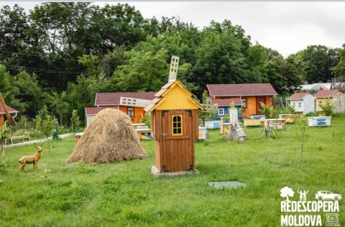 a small house in the middle of a field at La Nea Ion in Ţaul