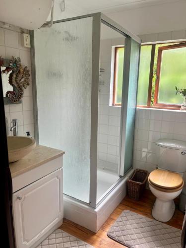 a bathroom with a shower and a toilet and a sink at Paradise View Apartment in Knysna