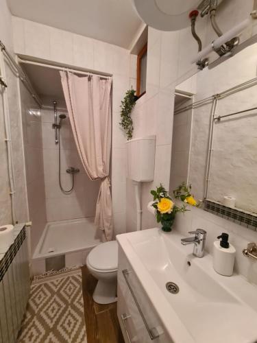 a bathroom with a sink and a toilet and a shower at Bakina kuća za odmor in Sveti Ivan Žabno