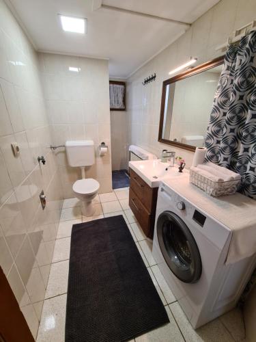 a bathroom with a washing machine in a bathroom at Bakina kuća za odmor in Sveti Ivan Žabno