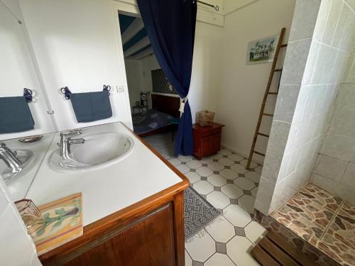 a bathroom with a sink and a shower at L'Arbre de Vie in Saint-Joseph