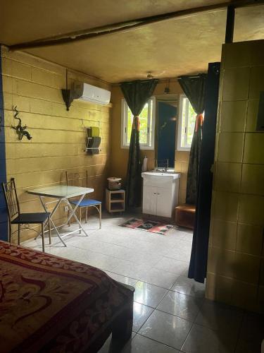 a room with a bed and a table and a sink at L'Arbre de Vie in Saint-Joseph