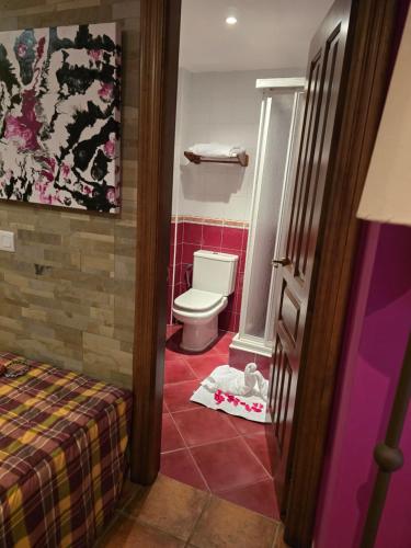 a bathroom with a toilet and a bed in a room at Apartamentos Andrea in Belmonte de Miranda