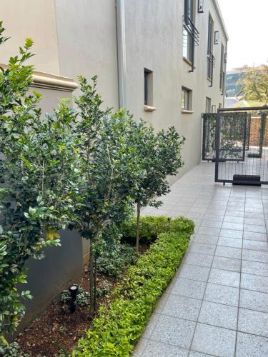 a courtyard with trees and plants in a building at The Wantage Suites in Johannesburg