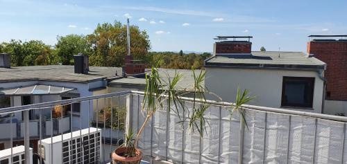 a balcony with a white fence and a plant at coLodging Mannheim - private rooms & kitchen in Mannheim