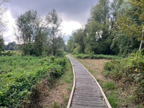 a wooden path in the middle of a field at 7a Sir Alf Ramsey Way in Ipswich
