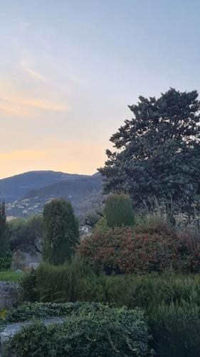 a view of a garden with a tree and bushes at Logement avec tèrrasse, au calme in Vence