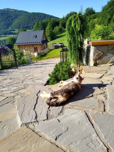a cat laying on the ground on a brick road at Apartamenty Na Brzegu Szczawnica in Szczawnica