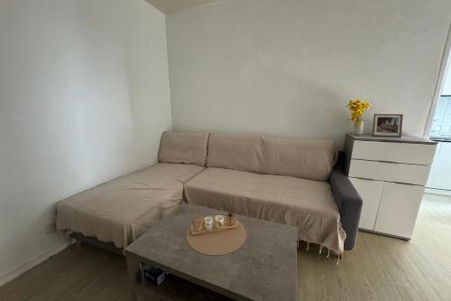 un salon avec un canapé et une table dans l'établissement Nice T2 close to the beach of Cabourg, à Cabourg