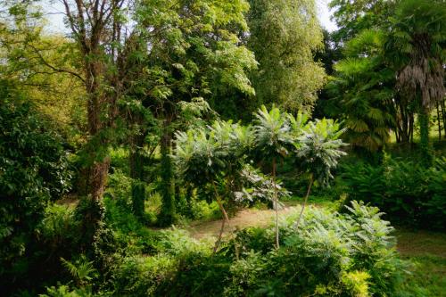 Gallery image of apartment BB Lago Nel Pagliaio in Taino