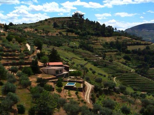 a house on top of a hill with a vineyard at Quinta da Lua Villa Douro Valley in Vale de Mendiz