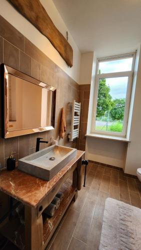 a bathroom with a large sink and a window at Private & Comfortable Apartments in Puttelange-aux-Lacs