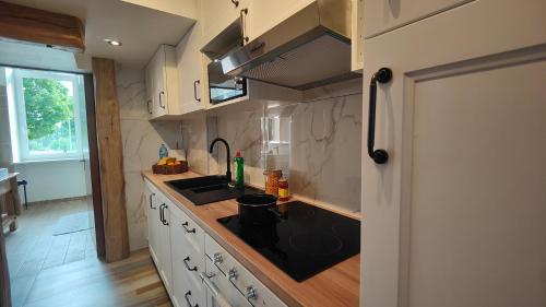 a kitchen with a sink and a counter at Private & Comfortable Apartments in Puttelange-aux-Lacs