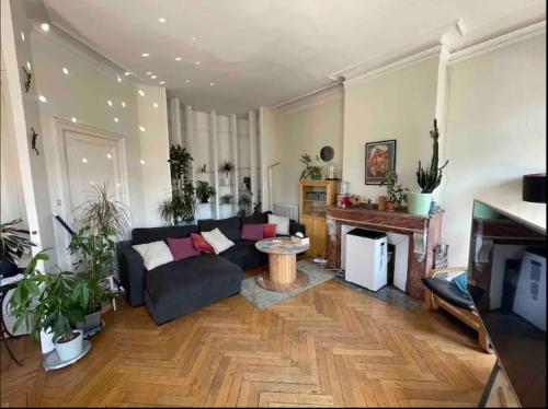 un salon avec un canapé et une cheminée dans l'établissement Chambre Comtesse - Climatisée - Proximité métro, à Toulouse